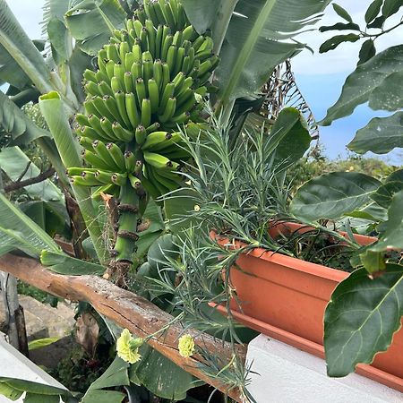 Casa Rural Los Barros Genovés 外观 照片