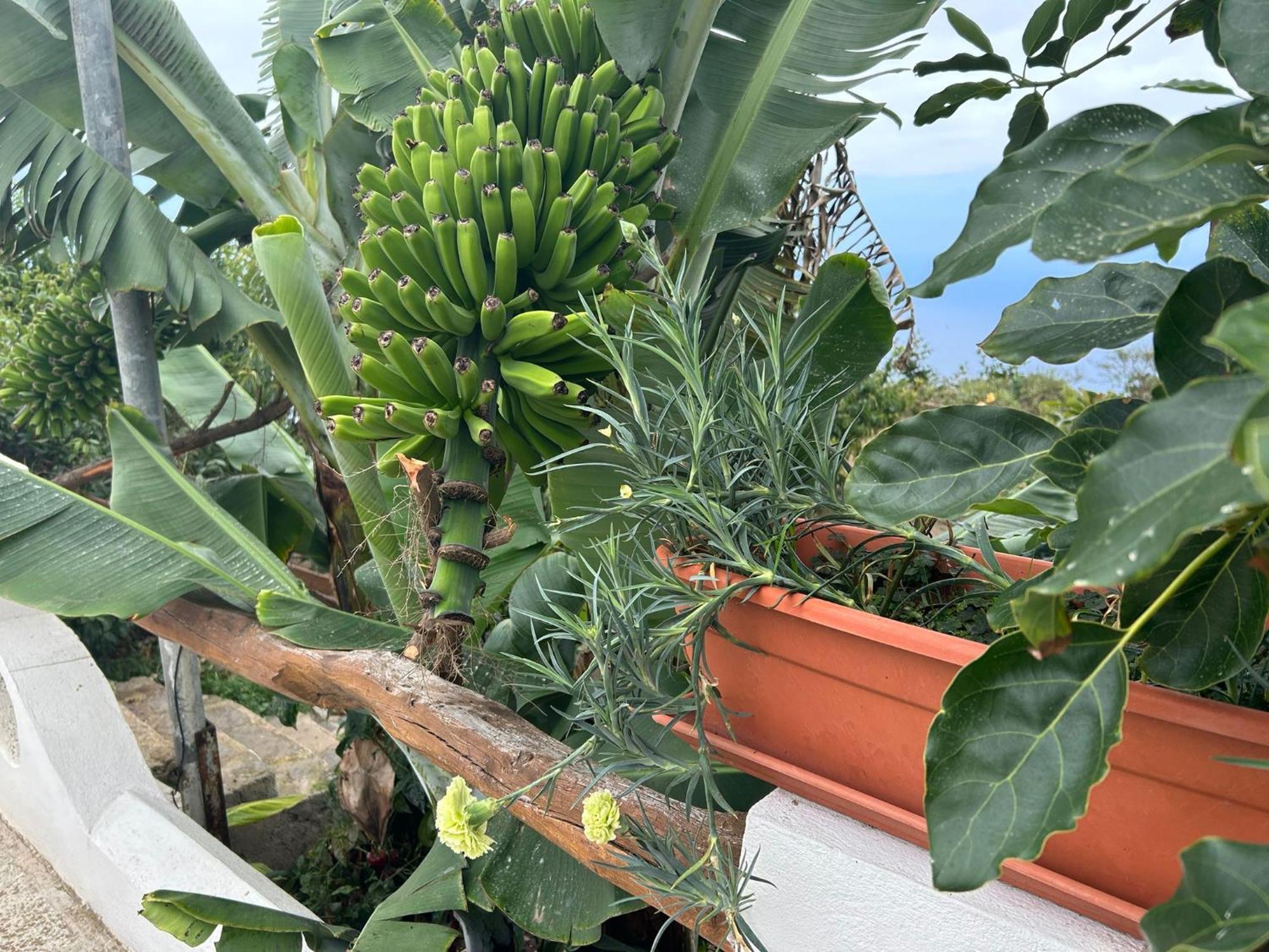 Casa Rural Los Barros Genovés 外观 照片
